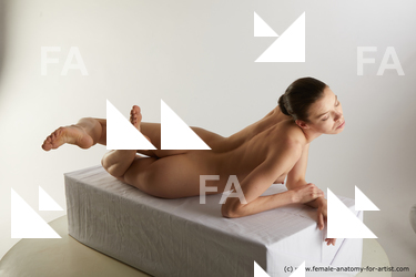 laying reference tracey 07