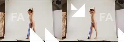 stereoscopic tracey 475