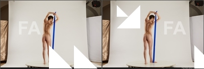 stereoscopic tracey 478