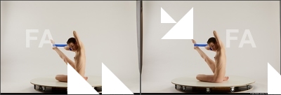 stereoscopic tracey 934