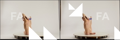 stereoscopic tracey 935