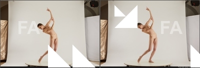 stereoscopic tracey 177