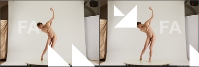 stereoscopic tracey 178