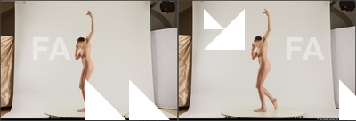 Nude Woman White Standing poses - ALL Underweight medium brown 3D Stereoscopic poses Pinup