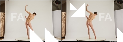 stereoscopic tracey 182