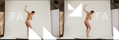 stereoscopic tracey 183