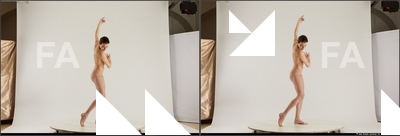 stereoscopic tracey 184