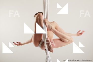 aerial silk reference tracey 02