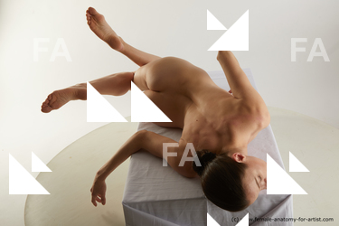 laying reference tracey 08