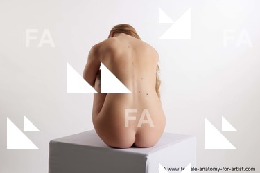 Nude Woman White Sitting poses - ALL Slim long brown Sitting poses - simple Standard Photoshoot Pinup