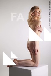 kneeling reference harley 07