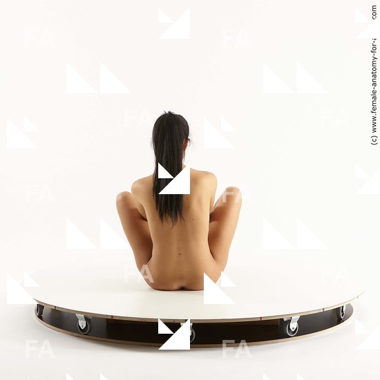 Nude Woman White Sitting poses - ALL Slim long brown Sitting poses - simple Standard Photoshoot Pinup