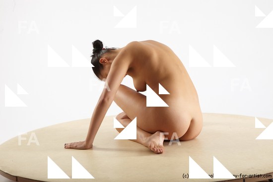 Nude Woman White Sitting poses - ALL Slim long brown Sitting poses - simple Standard Photoshoot Pinup