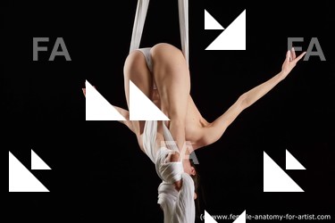 aerial silk reference tracey 03