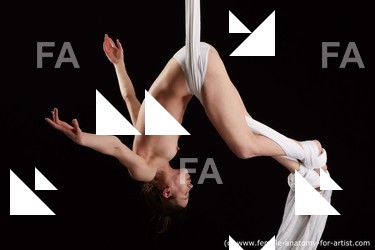 aerial silk reference tracey 04