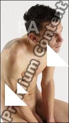 Human Anatomy - Roland