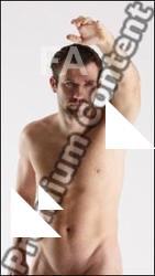 Human Anatomy - Vendelin