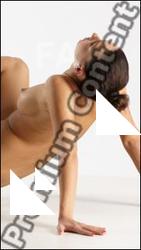 Stereoscopic 3D reference of Hortenzie