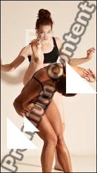 Capoeira reference poses