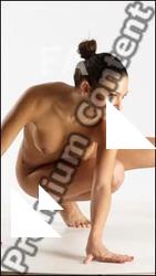 Stereoscopic 3D reference of Hortenzie