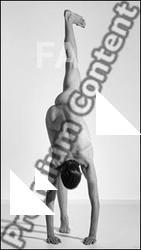 Yoga reference poses