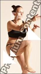 Kung Fu reference poses