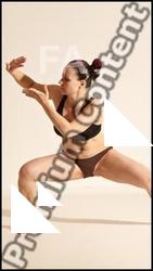 Kung Fu reference poses