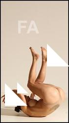 Gymnastic reference poses of Fannie