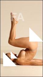 Gymnastic reference poses of Fannie