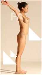 Gymnastic reference poses of Fannie