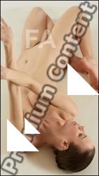 Laying reference poses Tracey