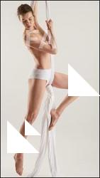 Aerial silk reference poses Tracey