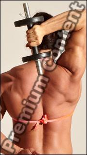 Bodybuilding reference of Angelina