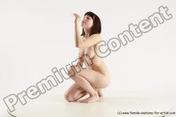 Sitting reference of Nikola