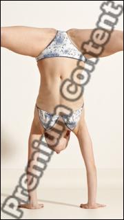 Ballet reference poses