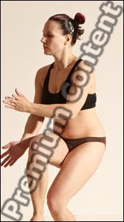 Kung Fu reference poses