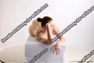 lying reference lexi 07